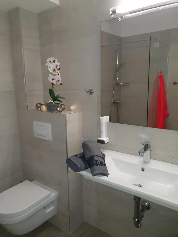 Gostinjska kuća Pansion Preza